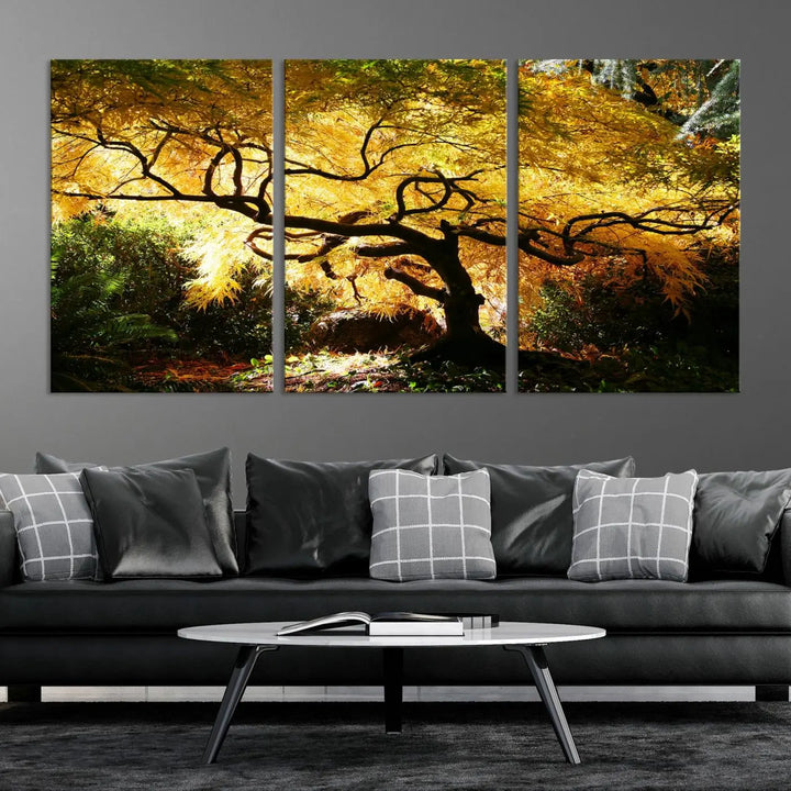 A triptych featuring the "Japanese Maple in Autumn" serves as a stunning centerpiece, set against a bright backdrop. These museum-quality canvas prints are ready to hang, effortlessly enhancing your home decor with an artistic touch.