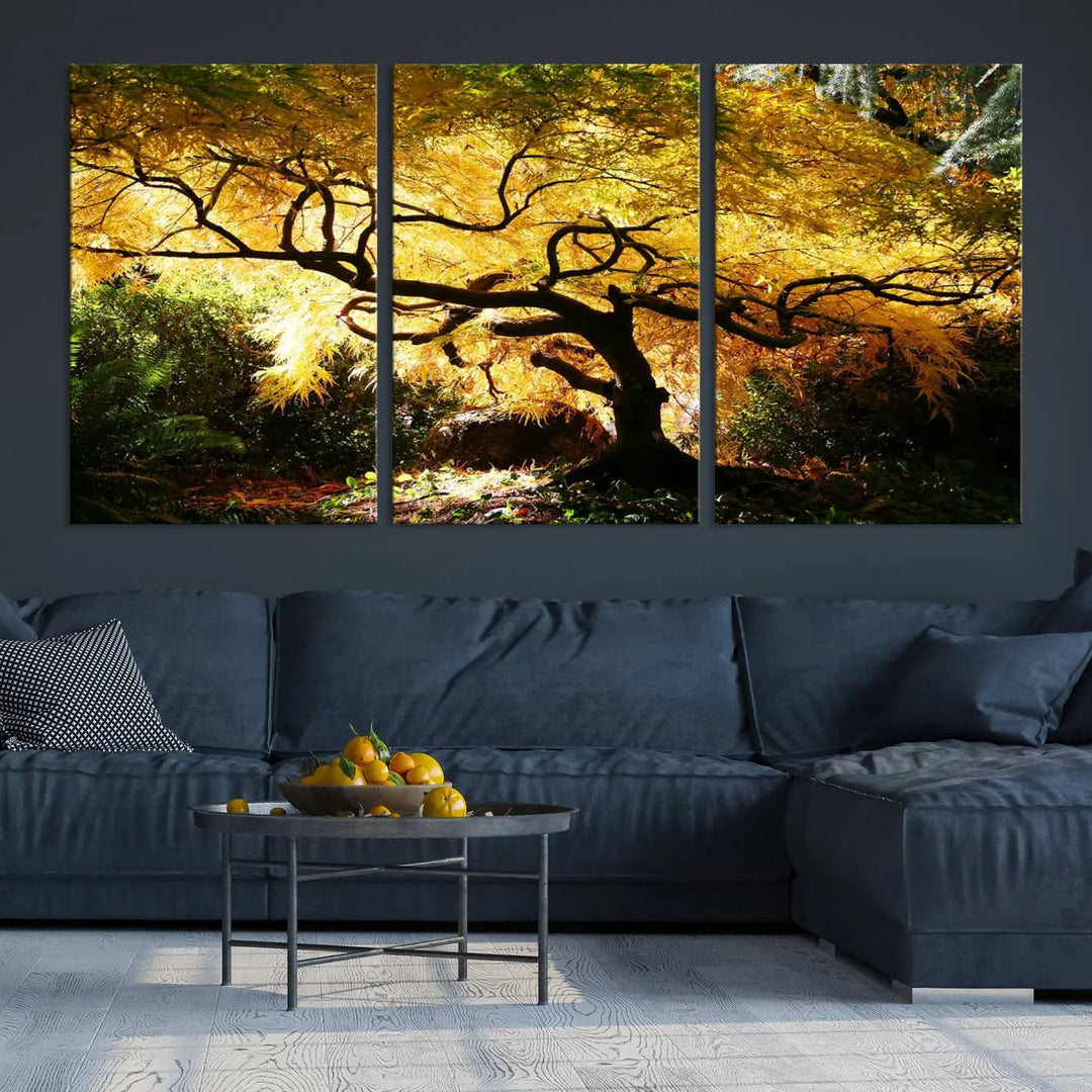 A triptych featuring the "Japanese Maple in Autumn" serves as a stunning centerpiece, set against a bright backdrop. These museum-quality canvas prints are ready to hang, effortlessly enhancing your home decor with an artistic touch.