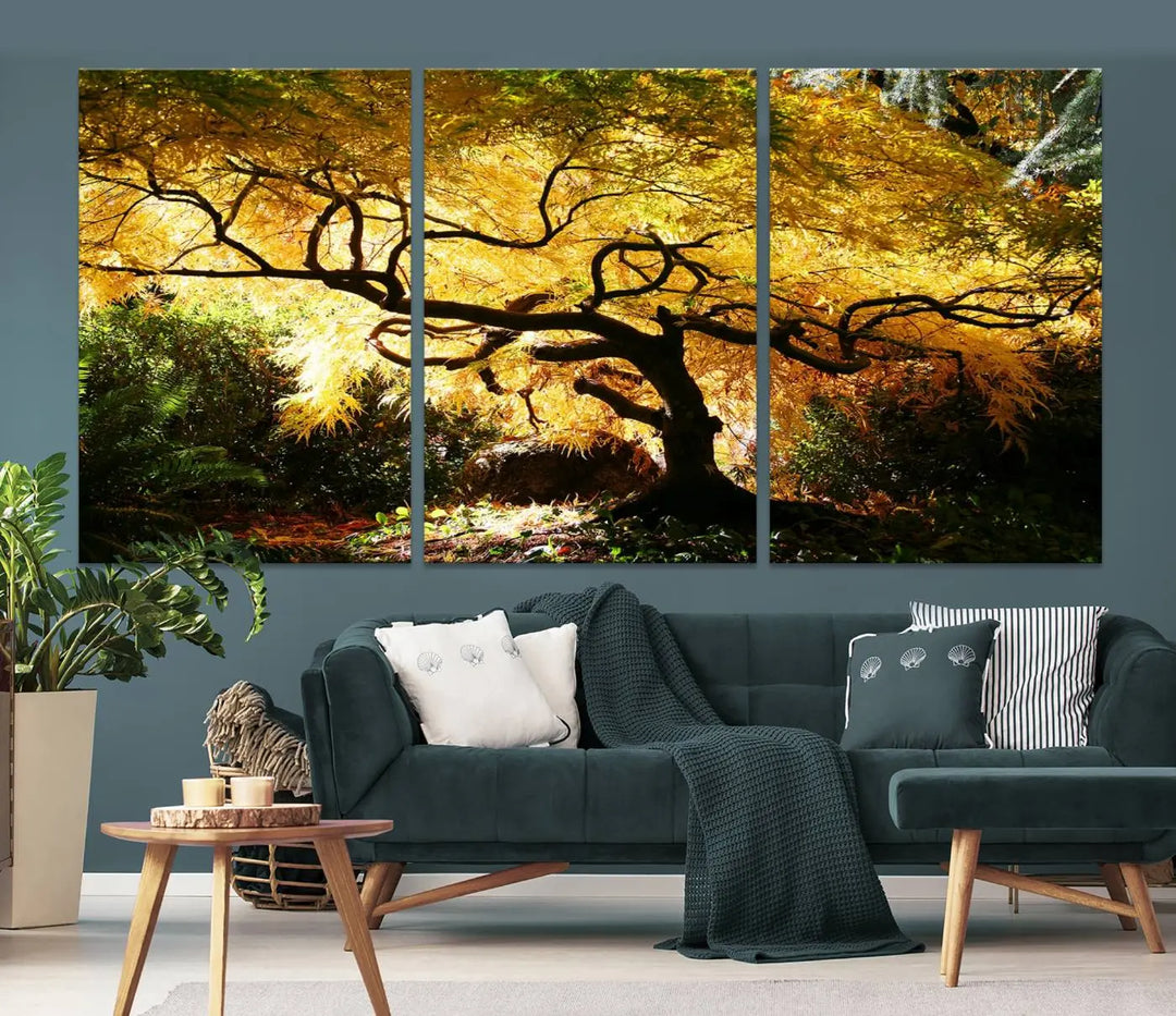 A triptych featuring the "Japanese Maple in Autumn" serves as a stunning centerpiece, set against a bright backdrop. These museum-quality canvas prints are ready to hang, effortlessly enhancing your home decor with an artistic touch.