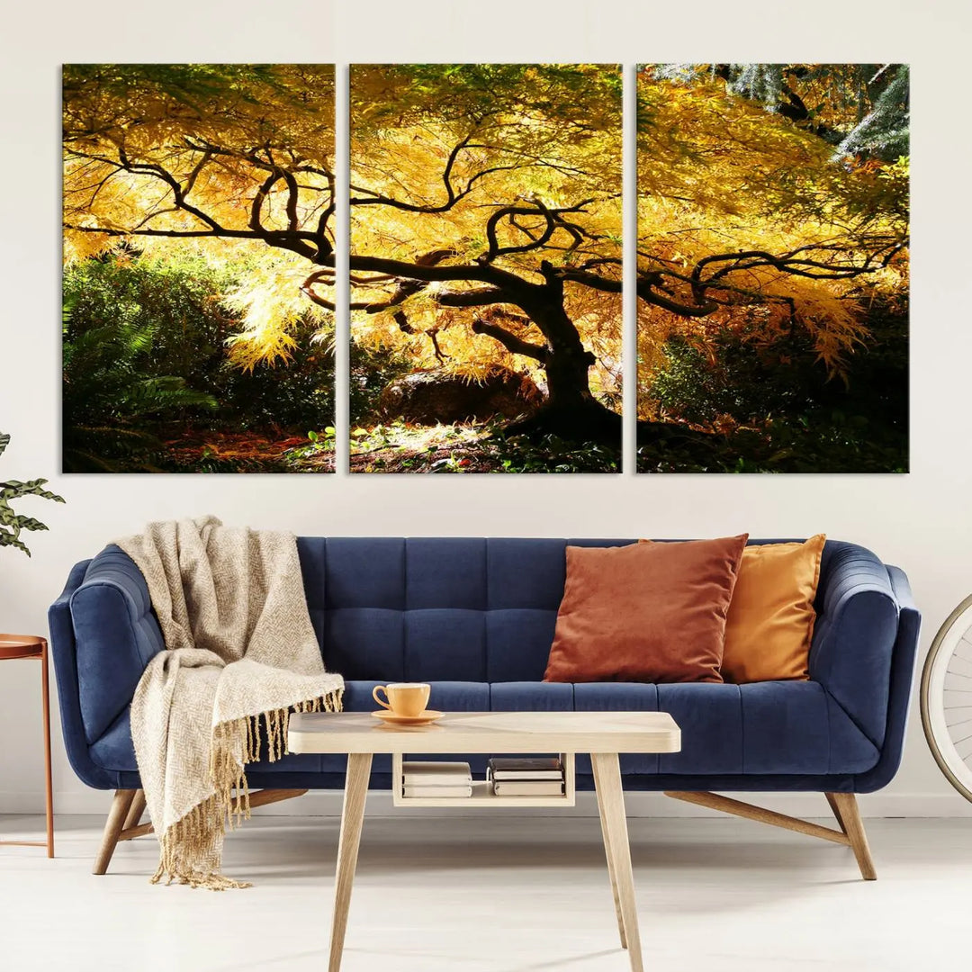 A triptych featuring the "Japanese Maple in Autumn" serves as a stunning centerpiece, set against a bright backdrop. These museum-quality canvas prints are ready to hang, effortlessly enhancing your home decor with an artistic touch.