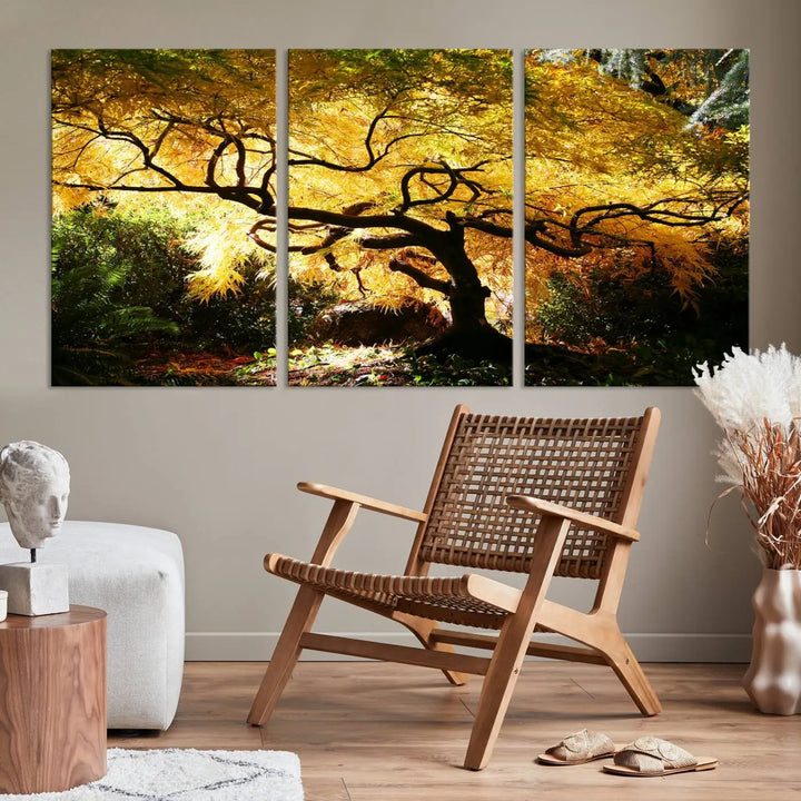 A triptych featuring the "Japanese Maple in Autumn" serves as a stunning centerpiece, set against a bright backdrop. These museum-quality canvas prints are ready to hang, effortlessly enhancing your home decor with an artistic touch.