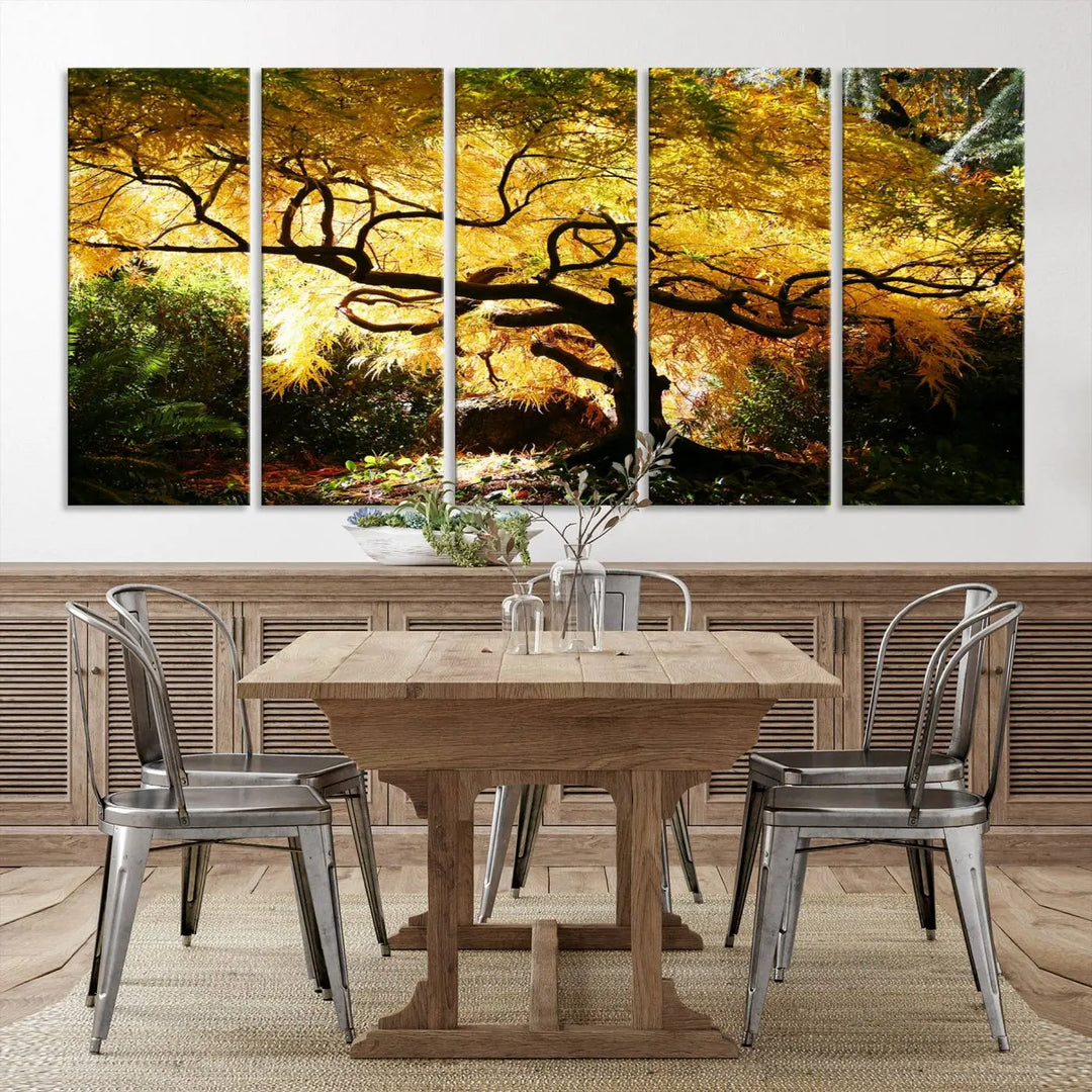 A triptych featuring the "Japanese Maple in Autumn" serves as a stunning centerpiece, set against a bright backdrop. These museum-quality canvas prints are ready to hang, effortlessly enhancing your home decor with an artistic touch.