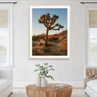 Joshua Tree Artwork Canvas Print, Desert Sunset Print, Framed Golden Hour Light Art Print, Large Southwestern Landscape Printing, Framed