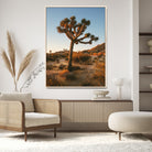 Joshua Tree Artwork Canvas Print, Desert Sunset Print, Framed Golden Hour Light Art Print, Large Southwestern Landscape Printing, Framed