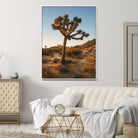 Joshua Tree Artwork Canvas Print, Desert Sunset Print, Framed Golden Hour Light Art Print, Large Southwestern Landscape Printing, Framed