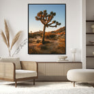 Joshua Tree Artwork Canvas Print, Desert Sunset Print, Framed Golden Hour Light Art Print, Large Southwestern Landscape Printing, Framed