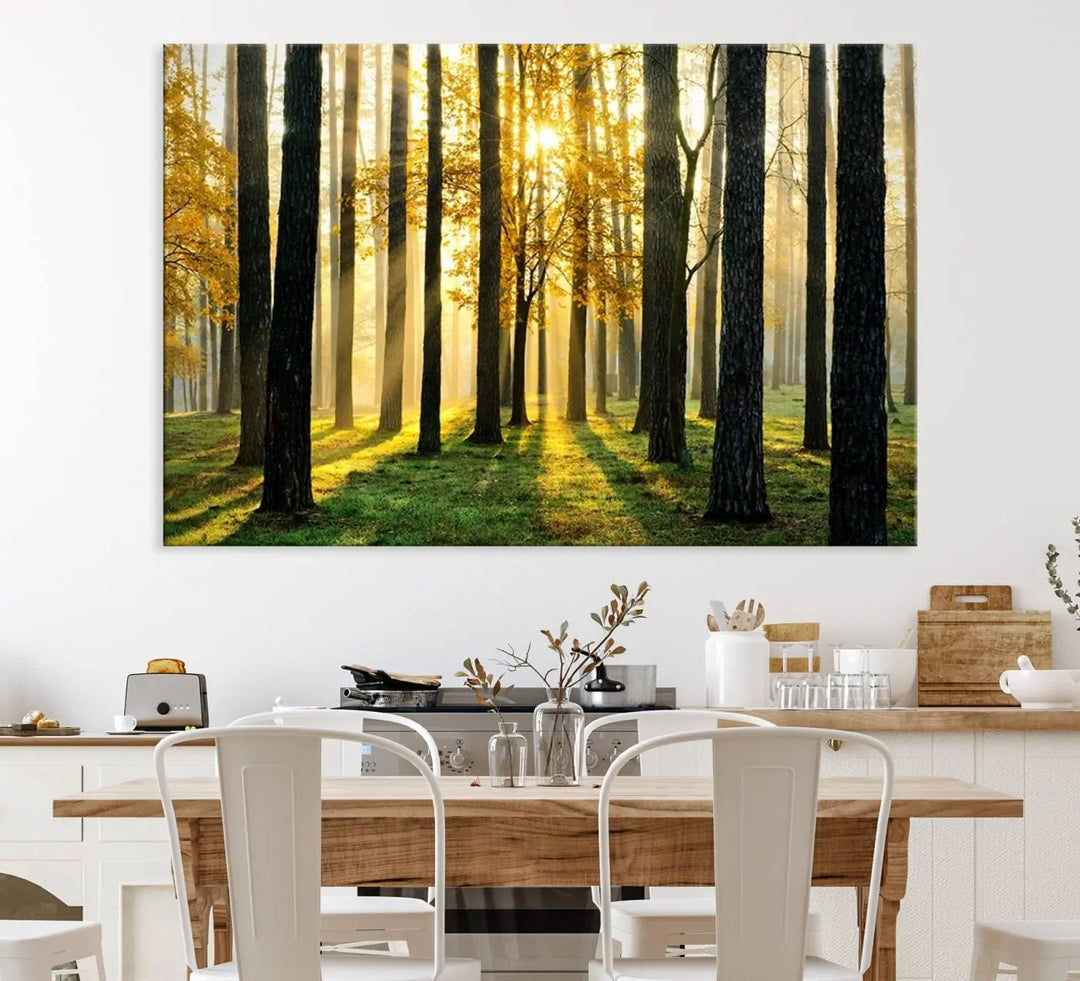 A large wall art landscape canvas print of tall trees at sunset.