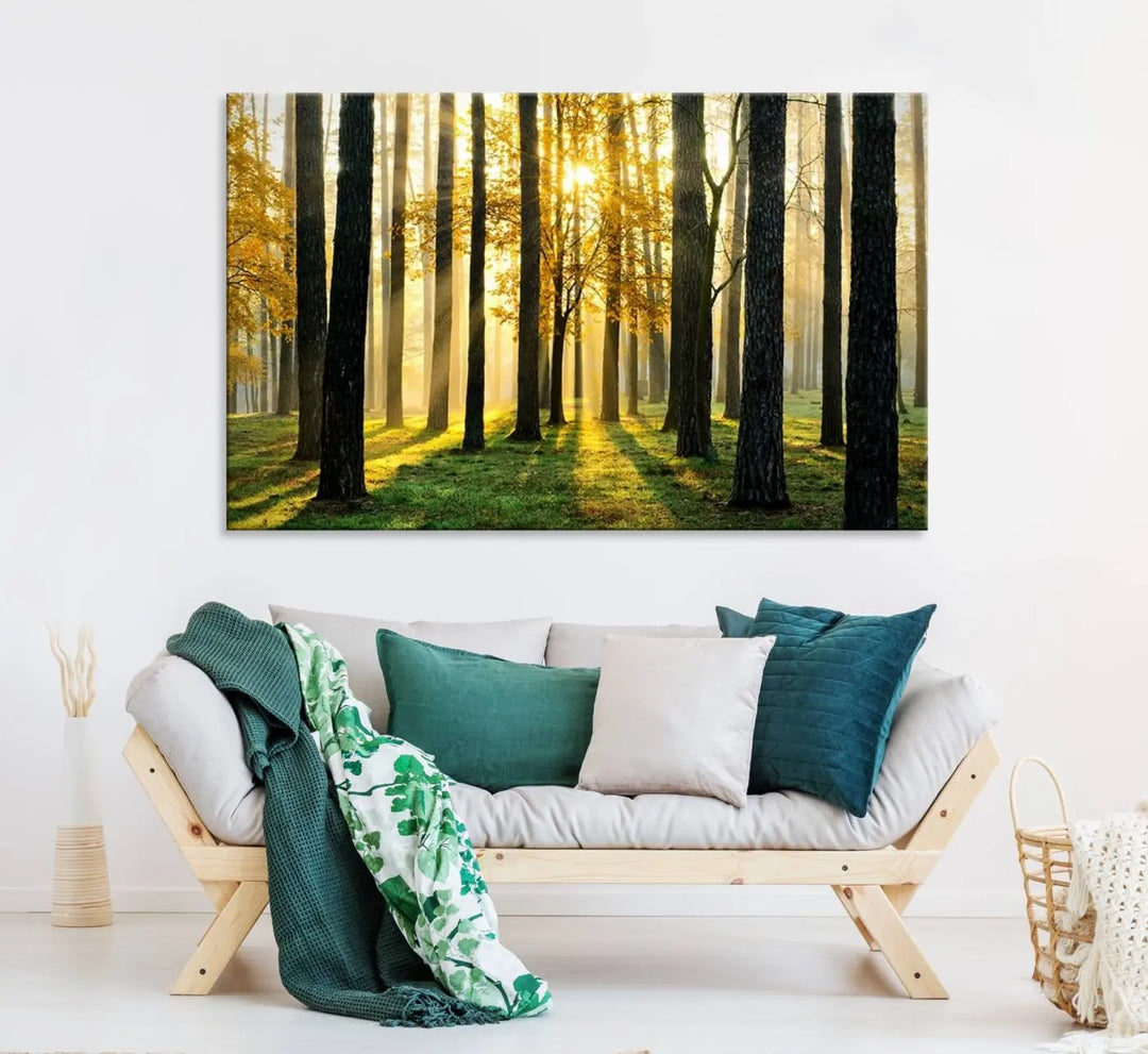 A large wall art landscape canvas print of tall trees at sunset.