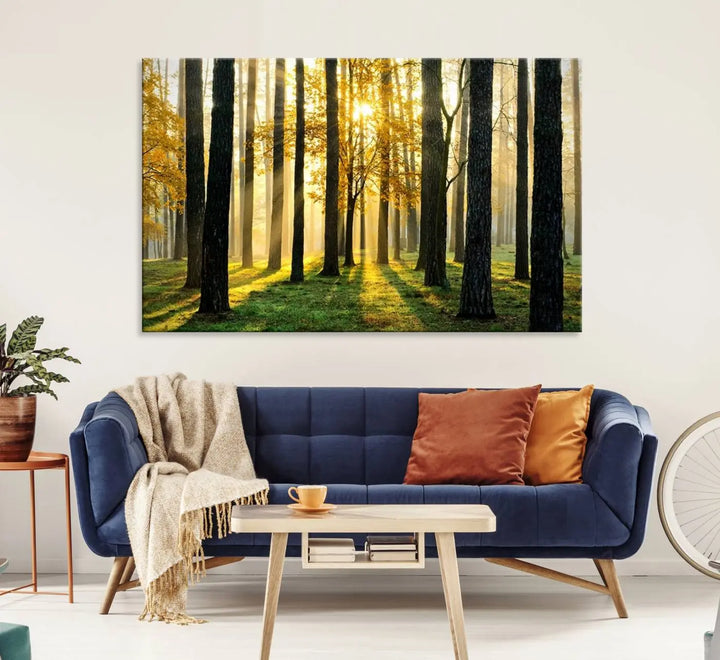 A large wall art landscape canvas print of tall trees at sunset.