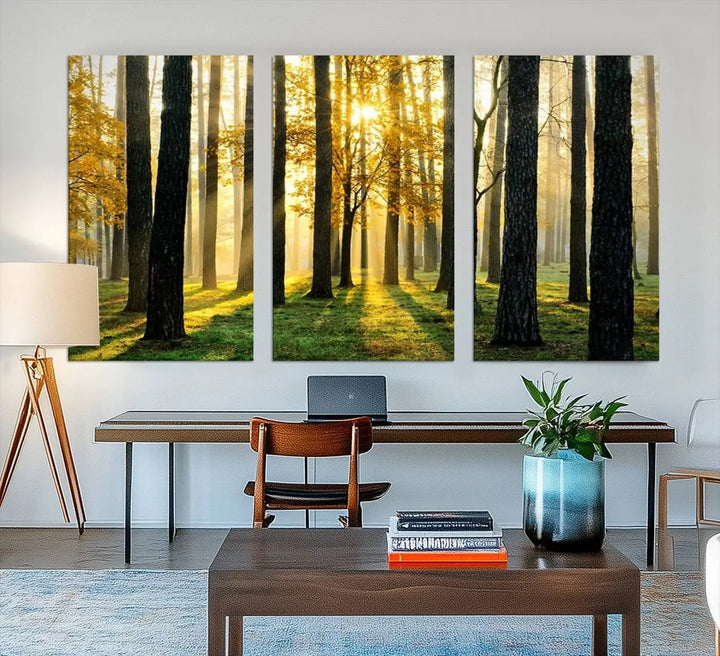 A large wall art landscape canvas print of tall trees at sunset.