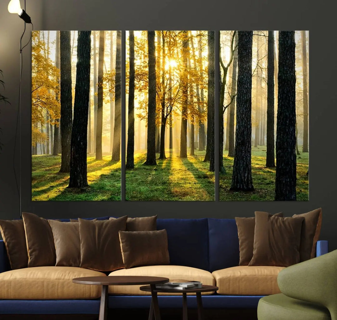 A large wall art landscape canvas print of tall trees at sunset.