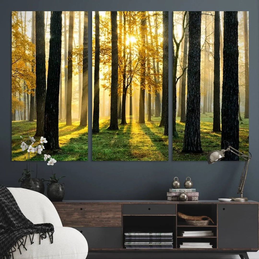 A large wall art landscape canvas print of tall trees at sunset.