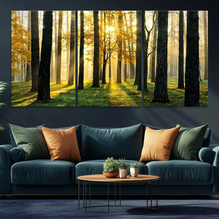 A large wall art landscape canvas print of tall trees at sunset.