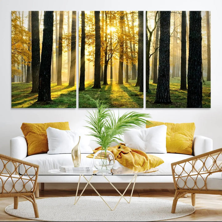 A large wall art landscape canvas print of tall trees at sunset.