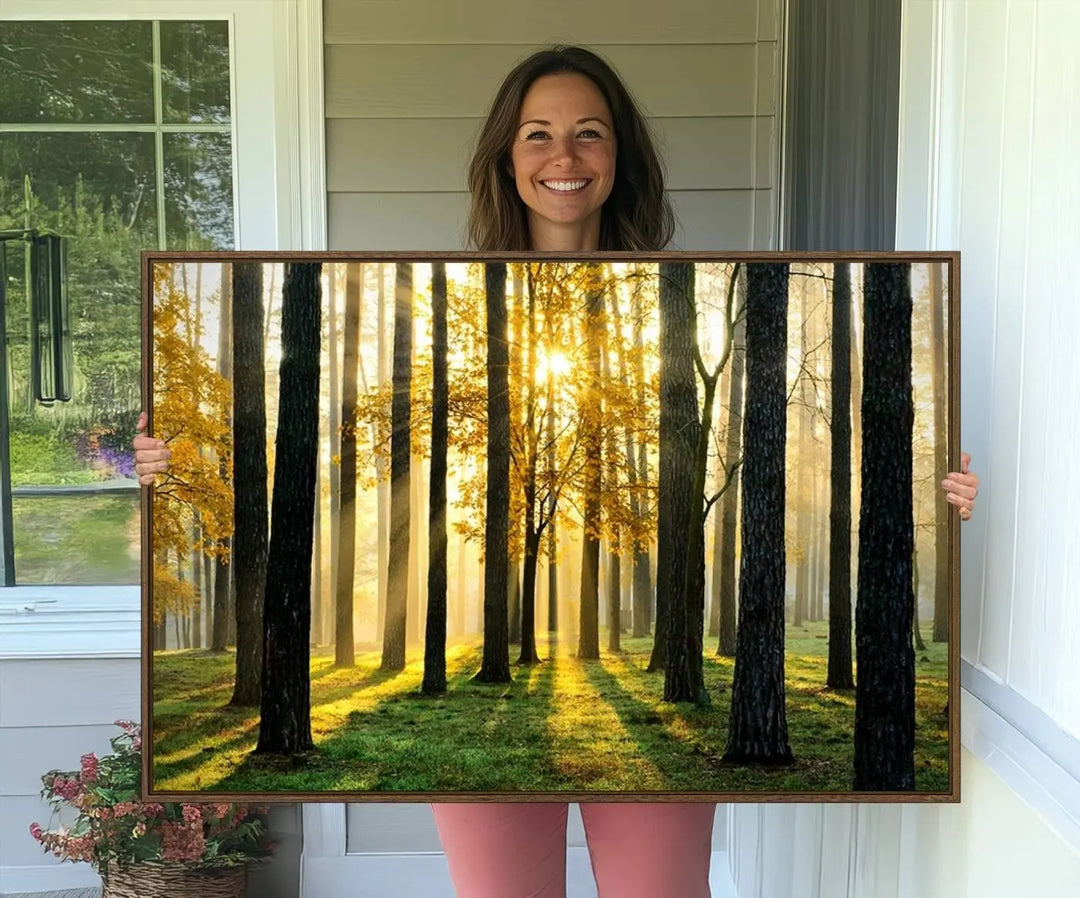 A large wall art landscape canvas print of tall trees at sunset.