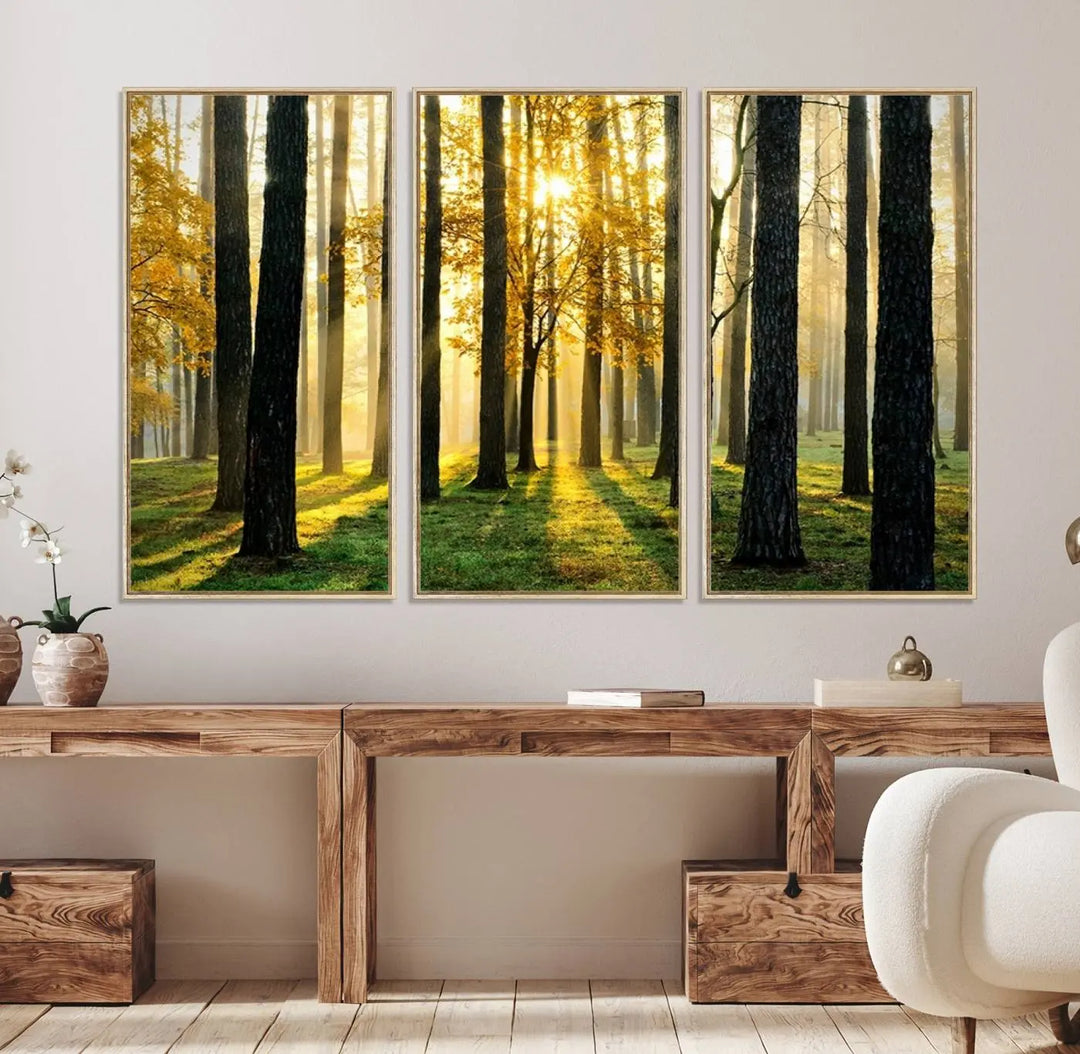 A large wall art landscape canvas print of tall trees at sunset.