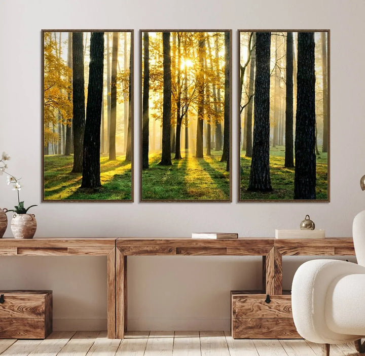 A large wall art landscape canvas print of tall trees at sunset.