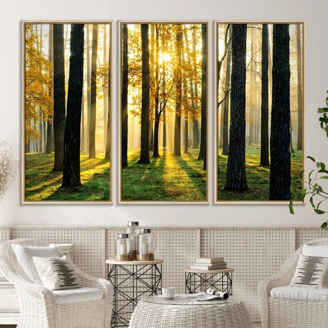 A large wall art landscape canvas print of tall trees at sunset.