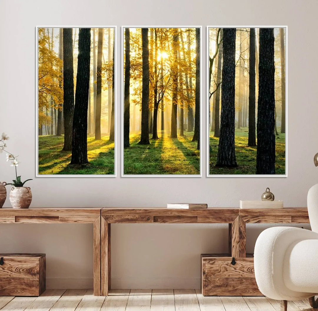 A large wall art landscape canvas print of tall trees at sunset.