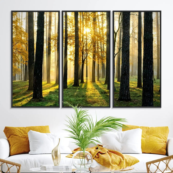 A large wall art landscape canvas print of tall trees at sunset.