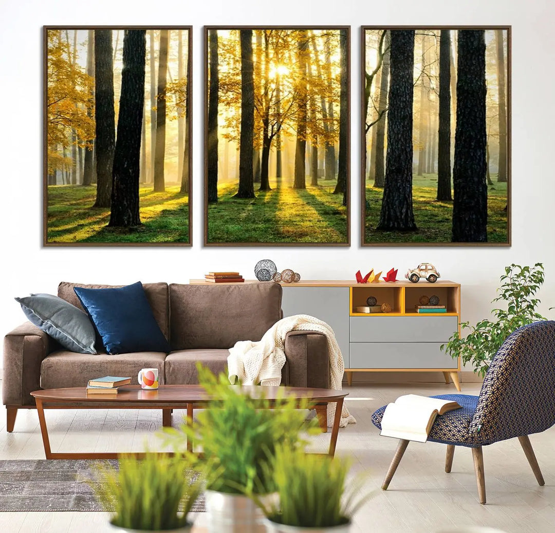 A large wall art landscape canvas print of tall trees at sunset.