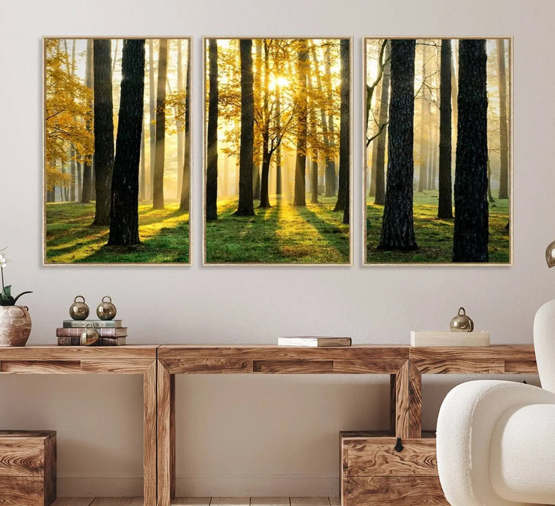 A large wall art landscape canvas print of tall trees at sunset.