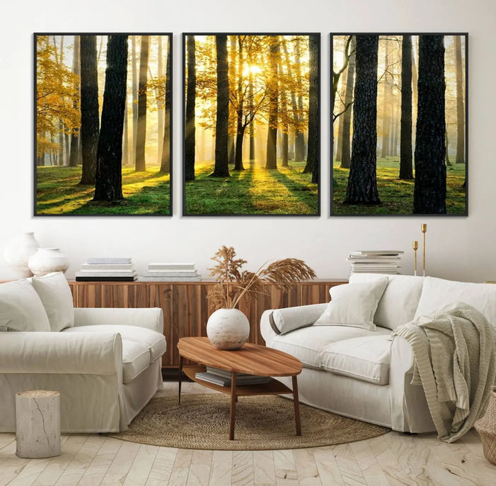 A large wall art landscape canvas print of tall trees at sunset.