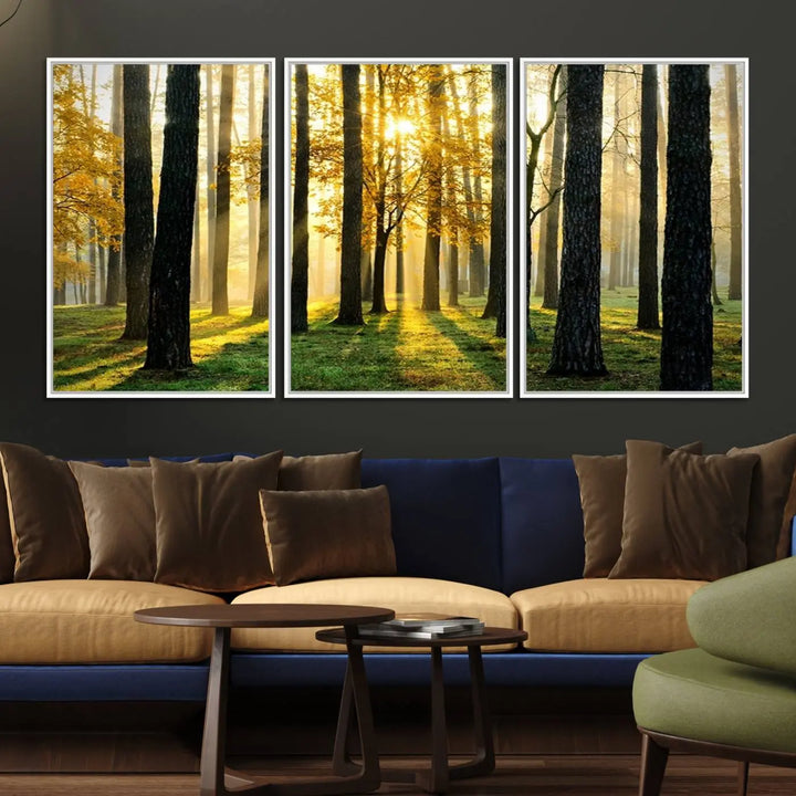 A large wall art landscape canvas print of tall trees at sunset.