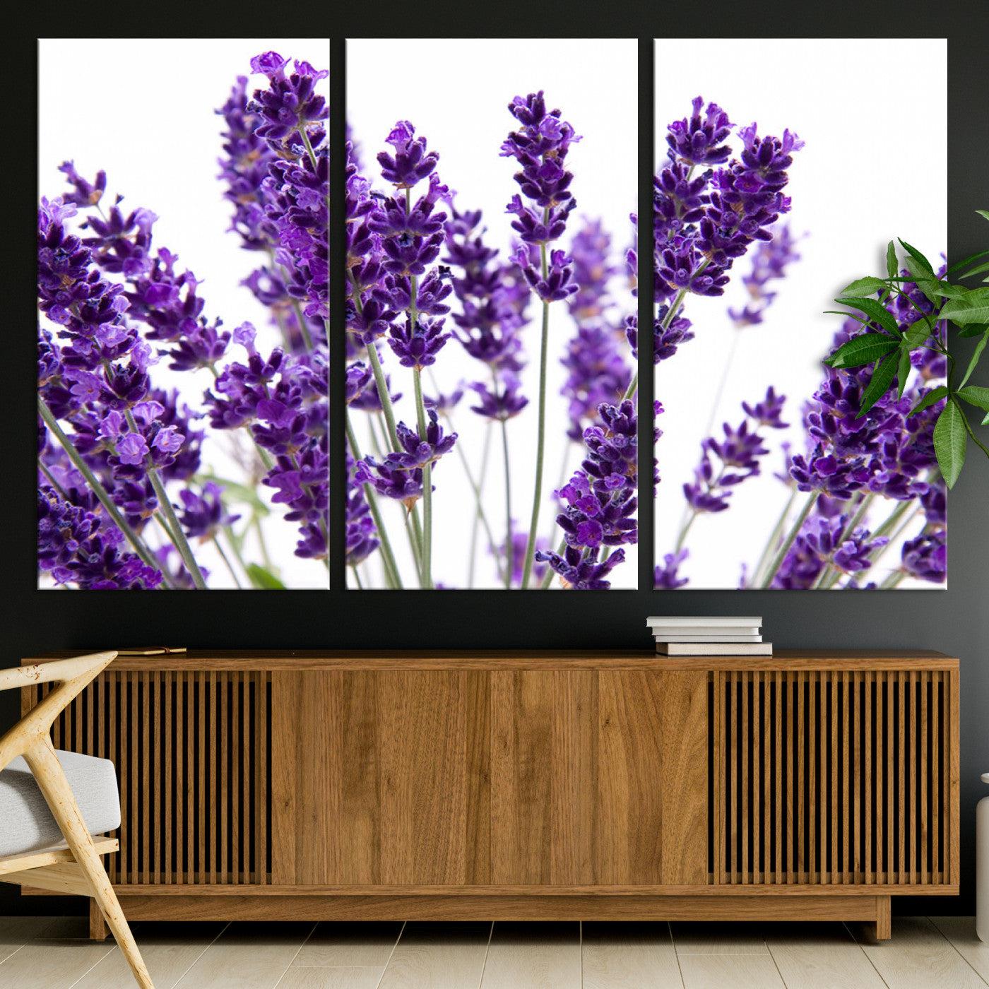 76859-MGV-CV-36X24-Lavender Flower Wall Art Canvas Print