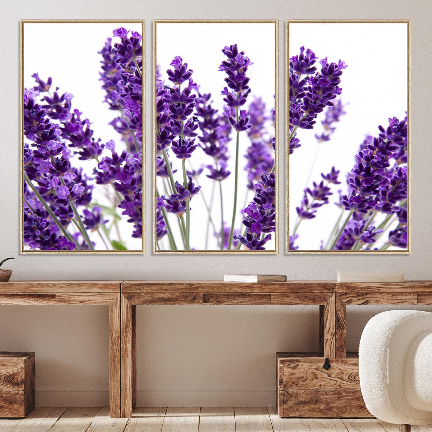 76859-MGV-CV-36X24-Lavender Flower Wall Art Canvas Print