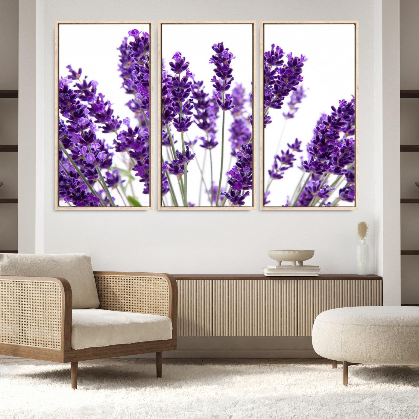 76859-MGV-FC-48X32-3P_Natural-Lavender Flower Wall Art Canvas Print