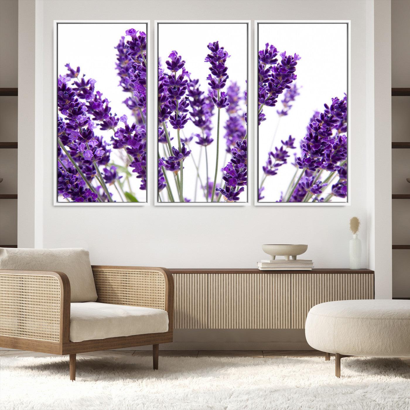 76859-MGV-FC-48X32-3P_White-Lavender Flower Wall Art Canvas Print