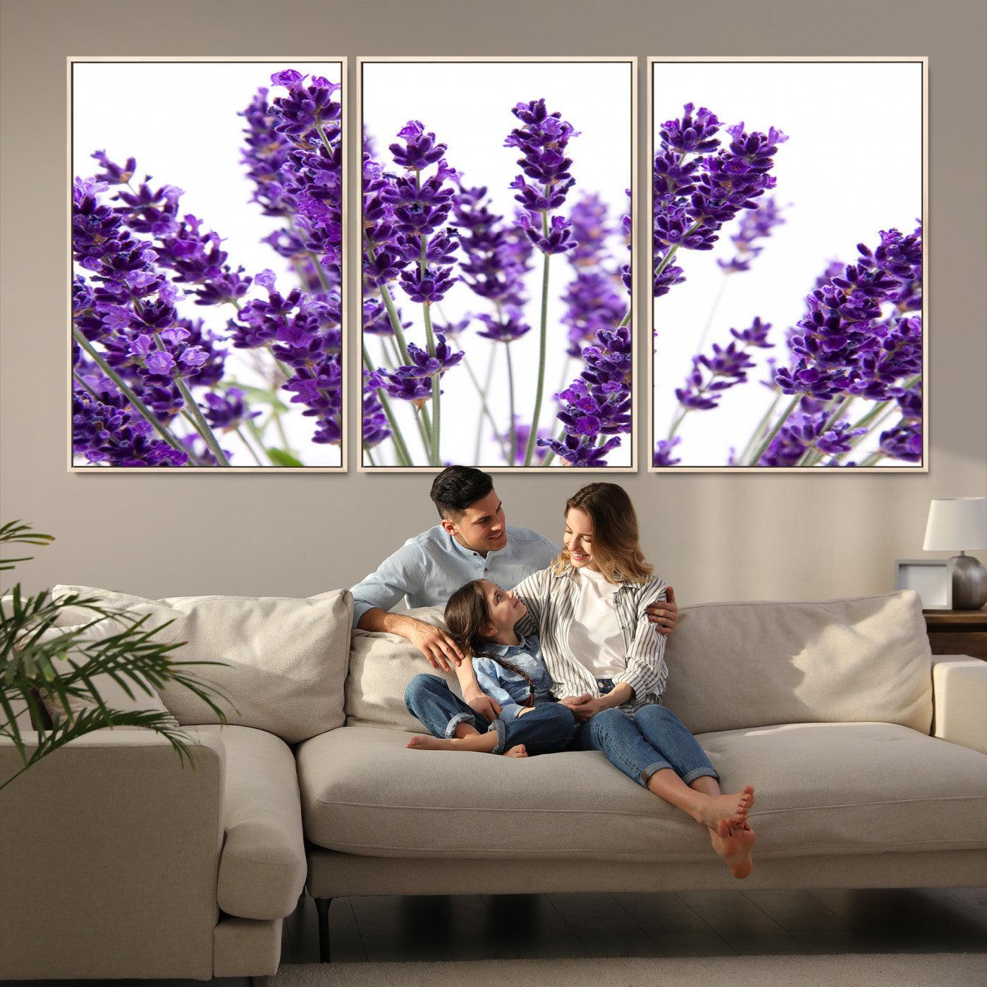 76859-MGV-FC-60X30-3P_Natural-Lavender Flower Wall Art Canvas Print