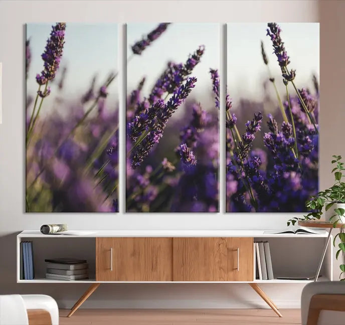 Displayed on the wall is a triptych of the Lavender Wall Art Floral Canvas Print, crafted with museum-quality materials and a UV-protective coating to maintain its vibrant elegance over time.