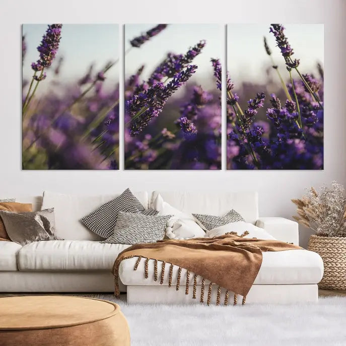 Displayed on the wall is a triptych of the Lavender Wall Art Floral Canvas Print, crafted with museum-quality materials and a UV-protective coating to maintain its vibrant elegance over time.