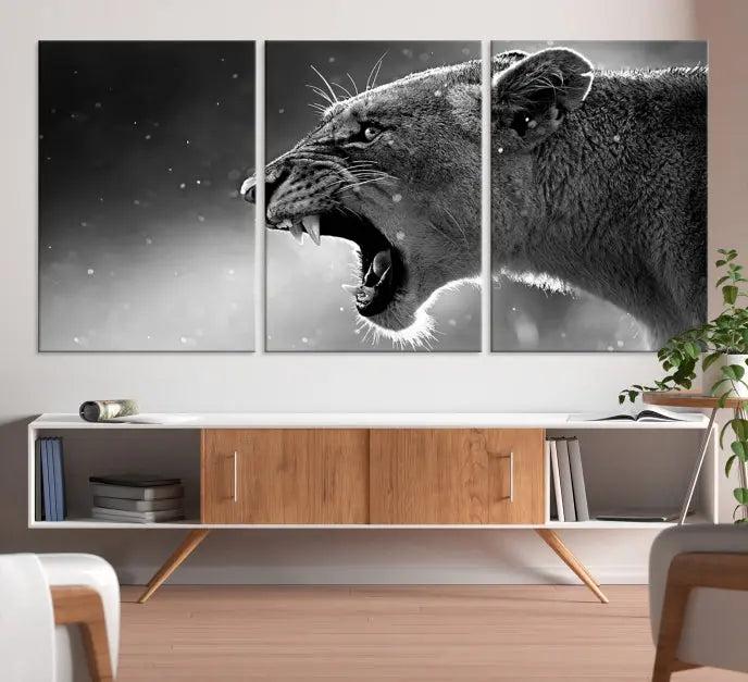 A Lion Wall Art Canvas Print depicting a roaring lioness in black and white, expertly gallery wrapped with UV-protective coating, is displayed in the living room.