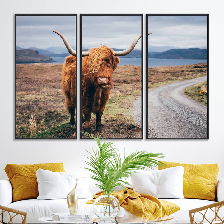 36315-MGV-FC-48X32-3P_Black-Longhorn Highland Cow Canvas Wall Art Print Animal Photograph Art Canvas
