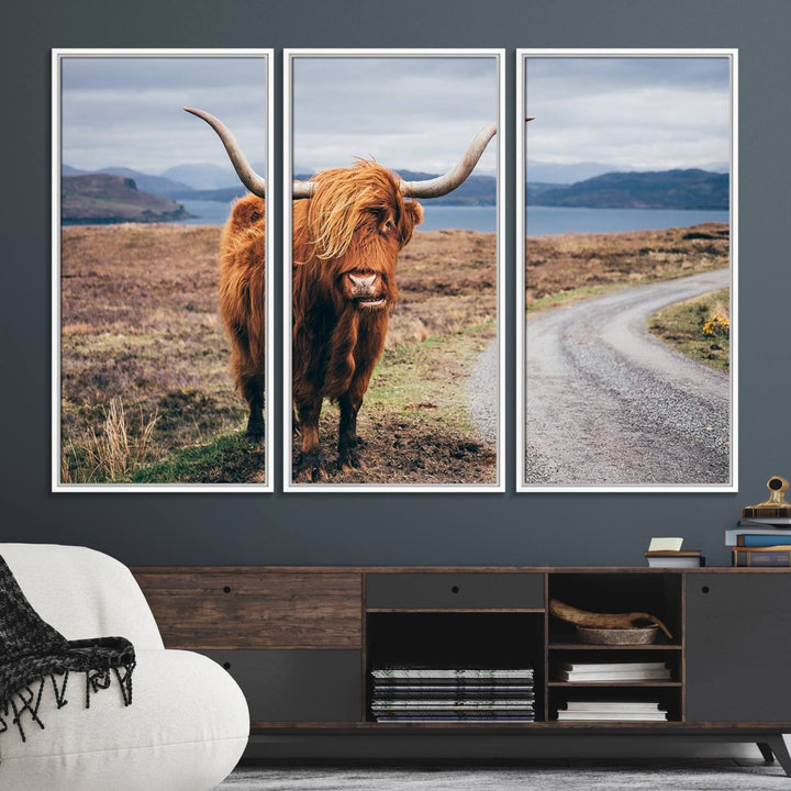 36315-MGV-FC-48X32-3P_White-Longhorn Highland Cow Canvas Wall Art Print Animal Photograph Art Canvas