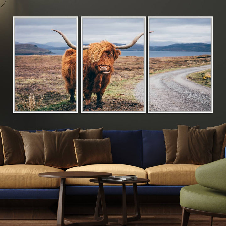 36315-MGV-FC-60X30-3P_White-Longhorn Highland Cow Canvas Wall Art Print Animal Photograph Art Canvas