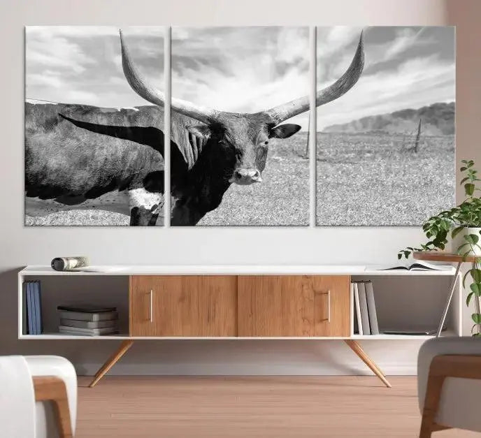 The Longhorn Wall Art Canvas Print, a black and white triptych of a longhorn cow in a grassy field, is elegantly displayed on museum-quality canvases.