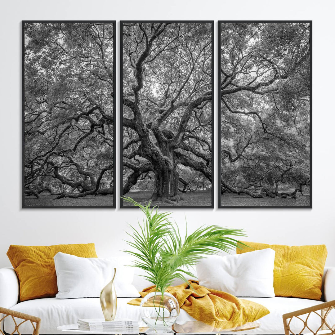 97240-MGV-FC-48X32-3P_Black-Majestic Angel Oak Tree Black and White Canvas Print – Multi Panel Wall Art, Giclée Print, Ready to Hang Nature Photography for Home Decor