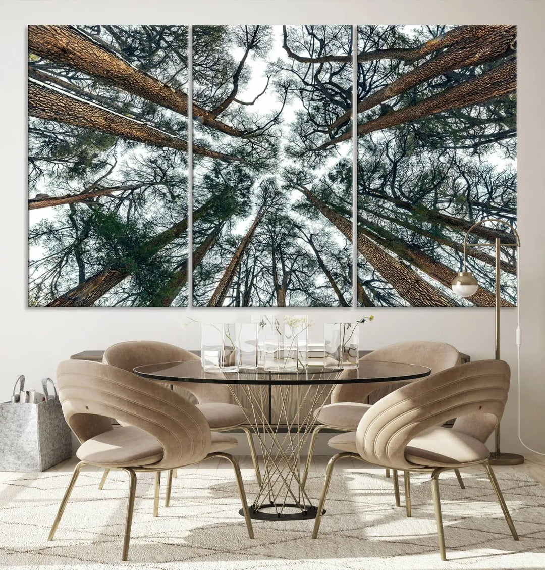 Majestic Pine Forest Wall Art | 3-Panel Tree Canopy Canvas Print | Nature-Inspired Living Room and Office Decor