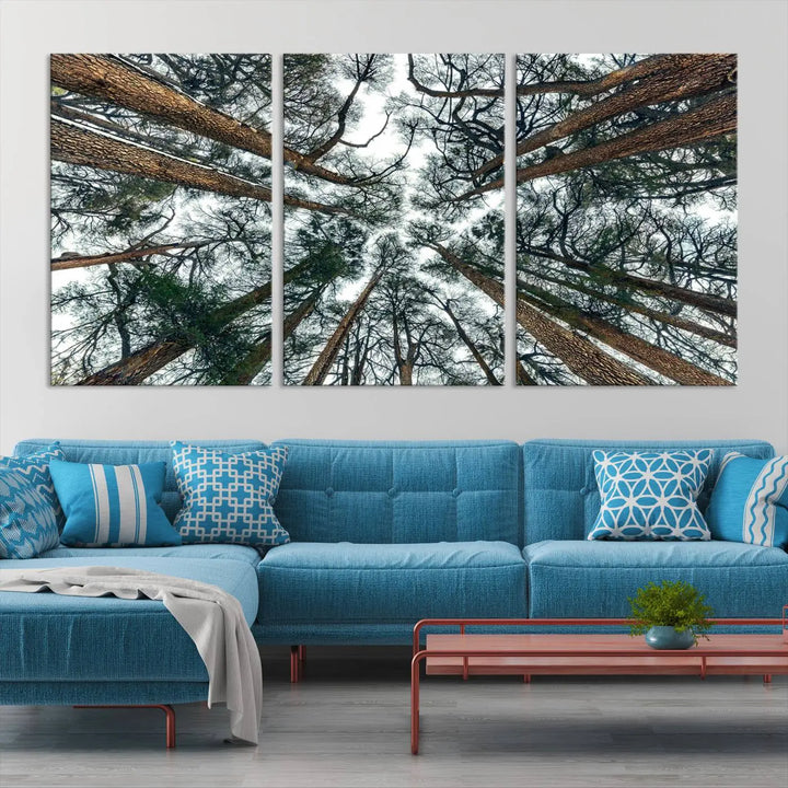 Majestic Pine Forest Wall Art | 3-Panel Tree Canopy Canvas Print | Nature-Inspired Living Room and Office Decor