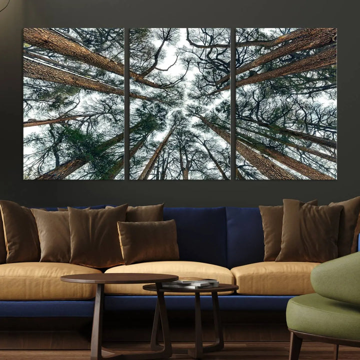 Featuring the Majestic Pine Forest Wall Art, this 3-Panel Tree Canopy Canvas Print beautifully highlights a view of a towering pine forest from below.