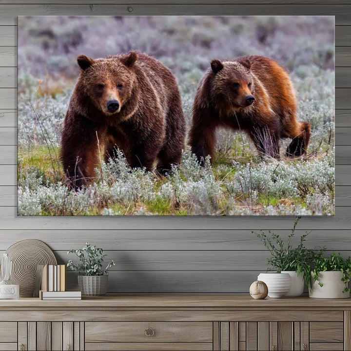 The Majestic Wildlife Photography of Queen of the Tetons, 399 Grizzly Bear Canvas Wall Art Print, features two brown bears roaming a grassy field—ideal for enhancing any wall space.