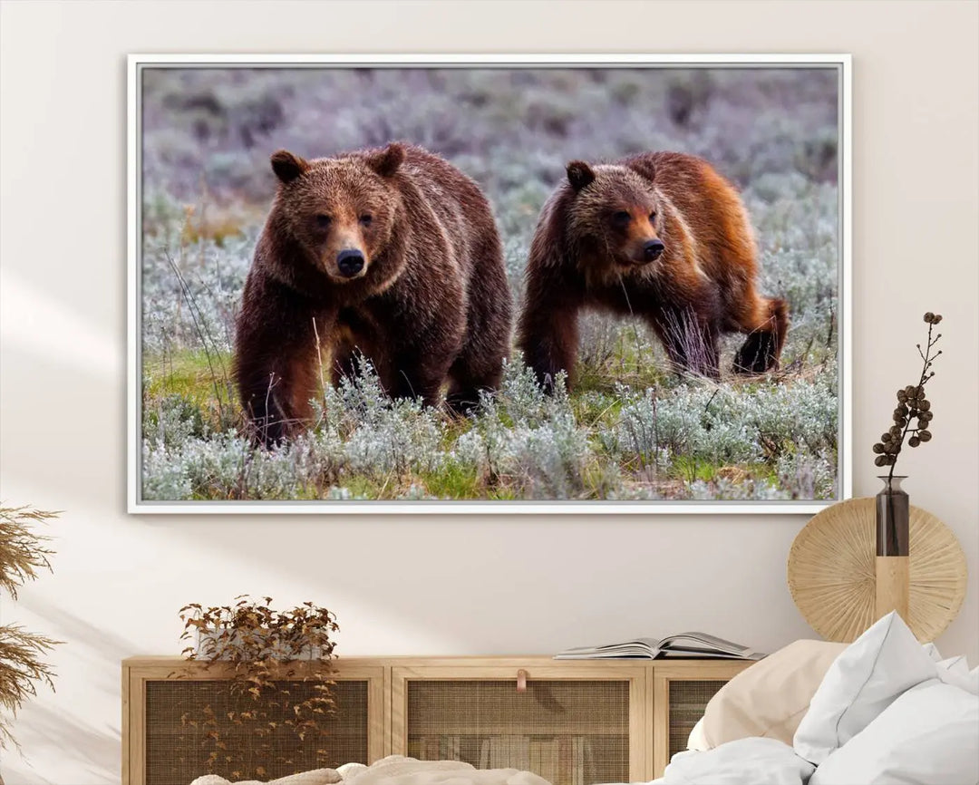 The Majestic Wildlife Photography of Queen of the Tetons, 399 Grizzly Bear Canvas Wall Art Print, features two brown bears roaming a grassy field—ideal for enhancing any wall space.