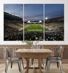 Michigan State Spartans Football Team Print - East Lansing Spartan Stadium Canvas Print