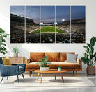 90831-MGV-CV-36X24-Michigan State Spartans Football Team Print - East Lansing Spartan Stadium Canvas Print