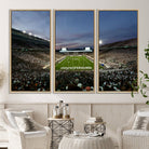 90831-MGV-CV-36X24-Michigan State Spartans Football Team Print - East Lansing Spartan Stadium Canvas Print