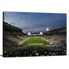 Michigan State Spartans Football Team Print - East Lansing Spartan Stadium Canvas Print